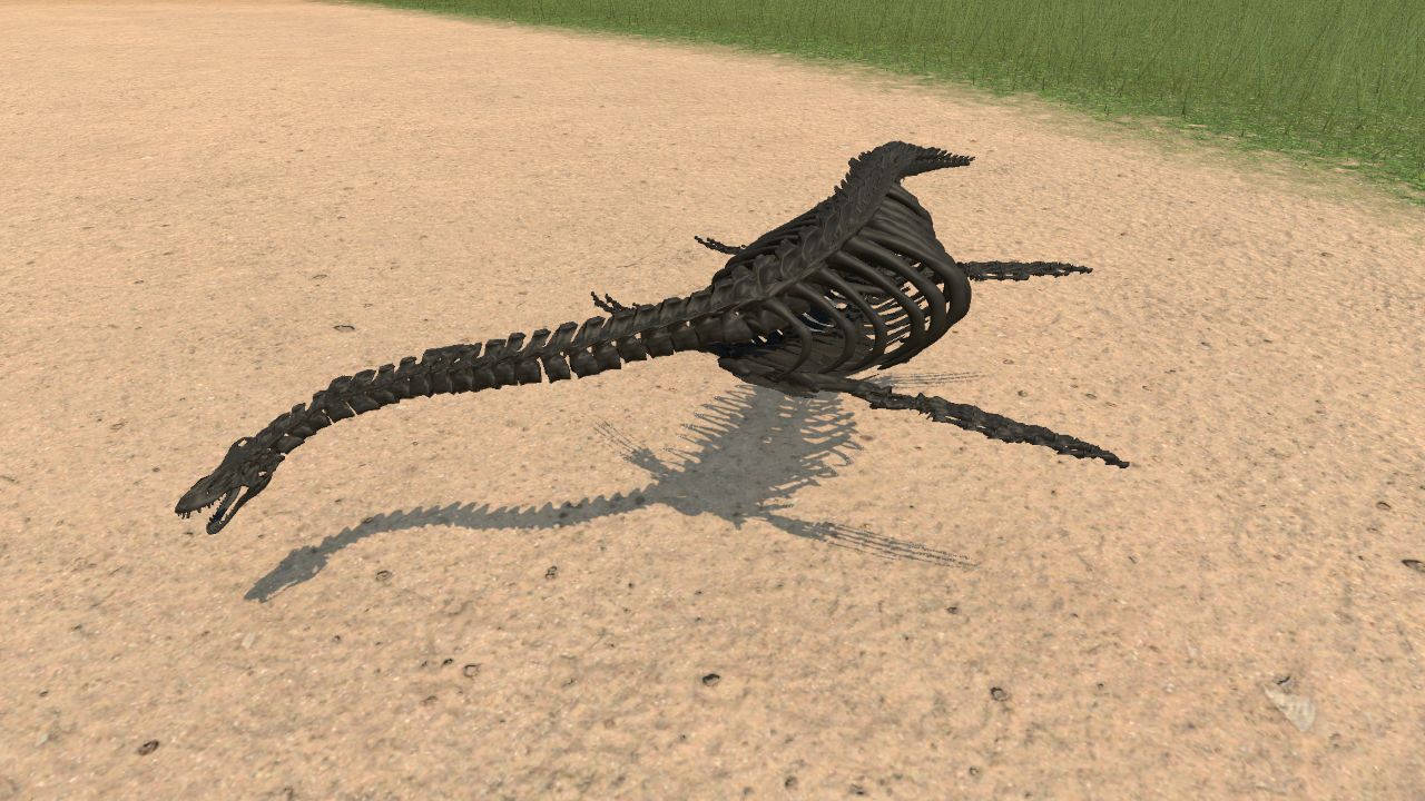 Plesiosaur Skeleton