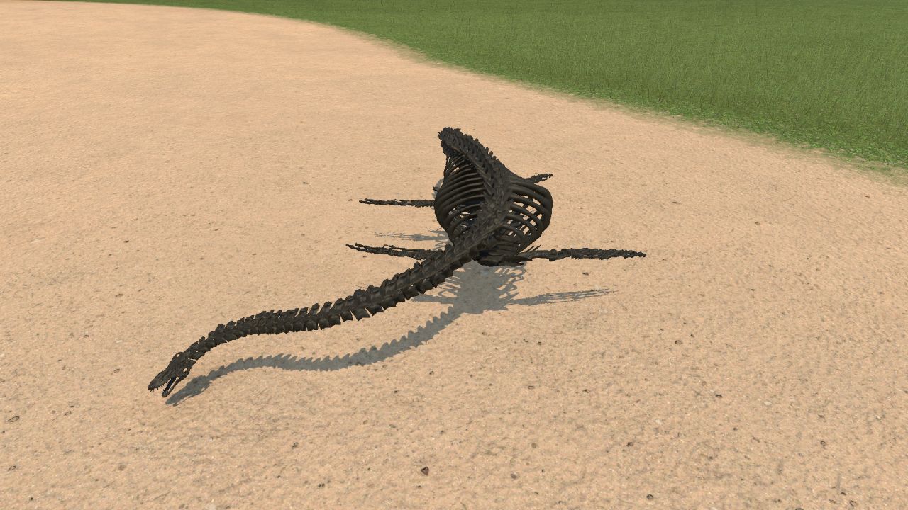 Elasmosaurus Skeleton