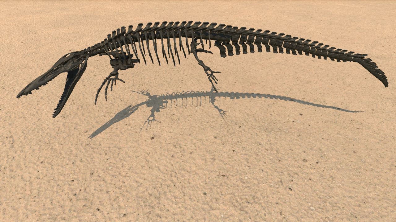 Tylosaurus Skeleton