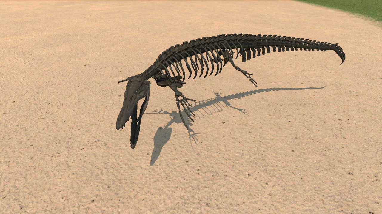 Mosasaurus Hoffmani skeleton