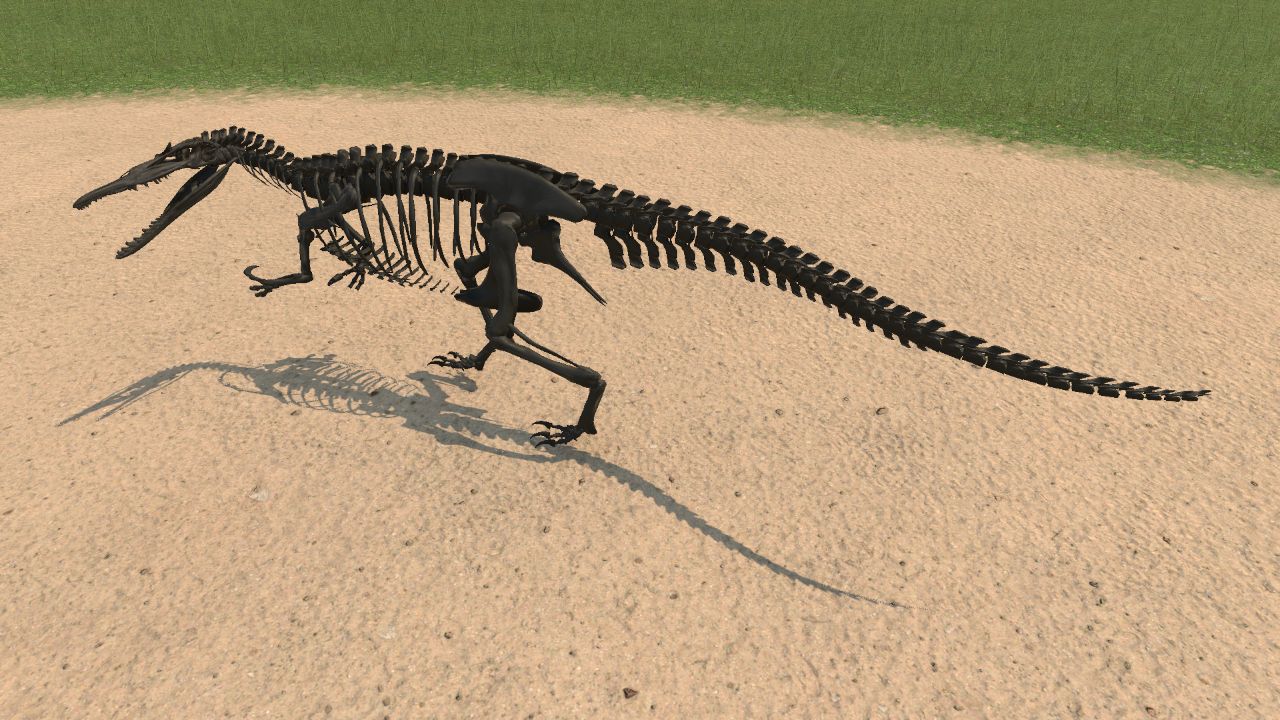 Baryonyx Skeleton