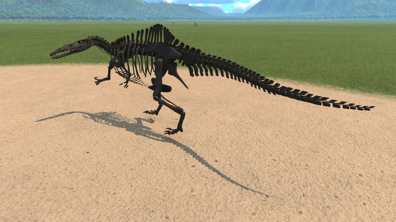 Suchomimus Skeleton