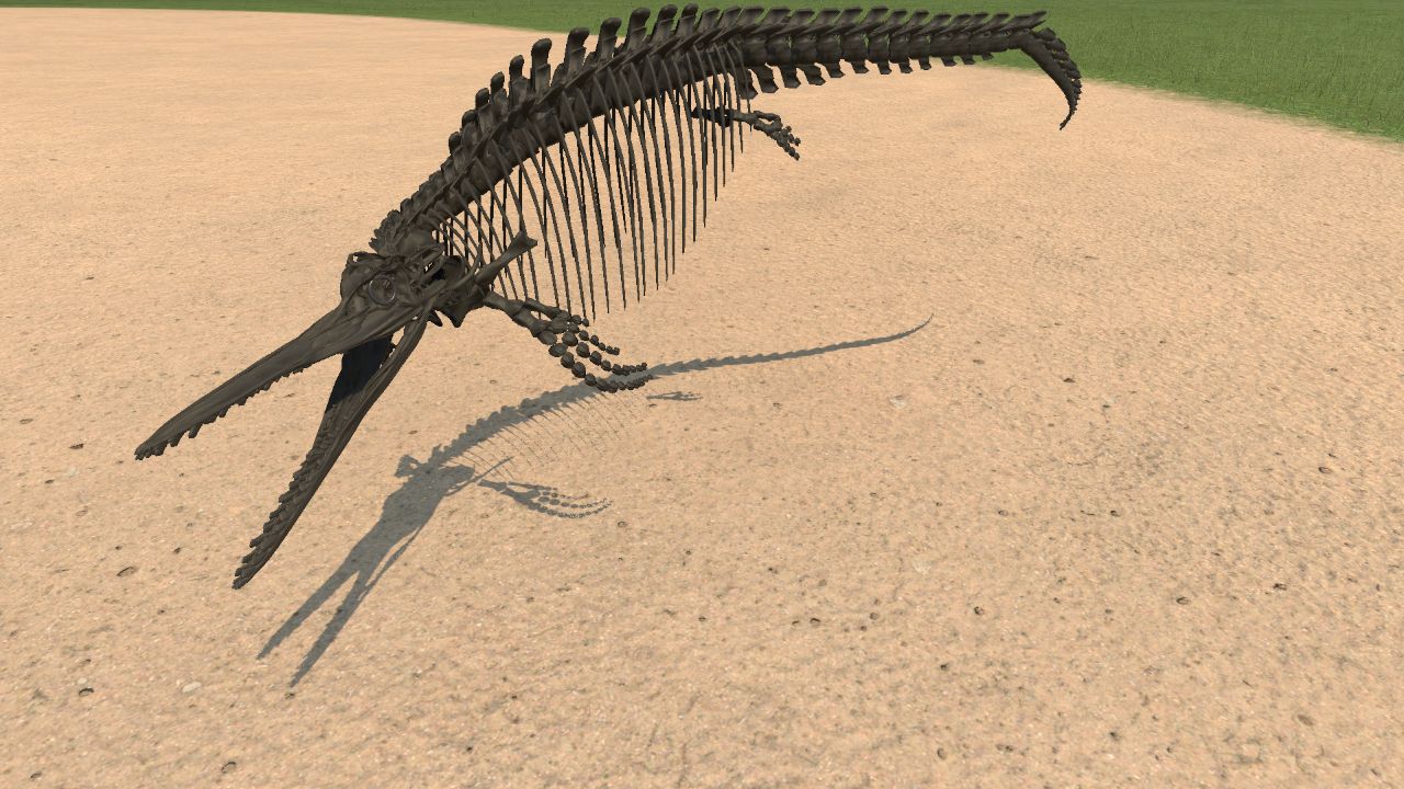 Icthyosaurus Skeleton