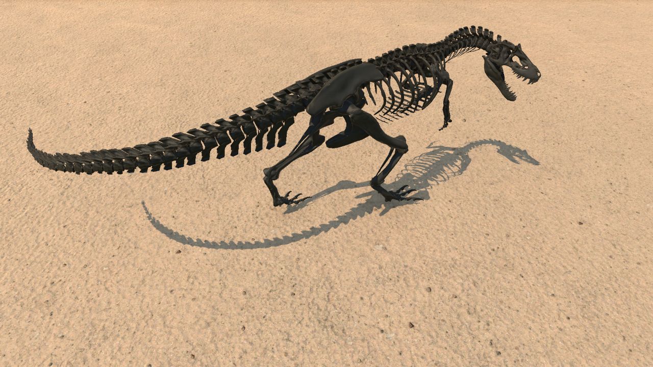 Allosaurus Skeleton