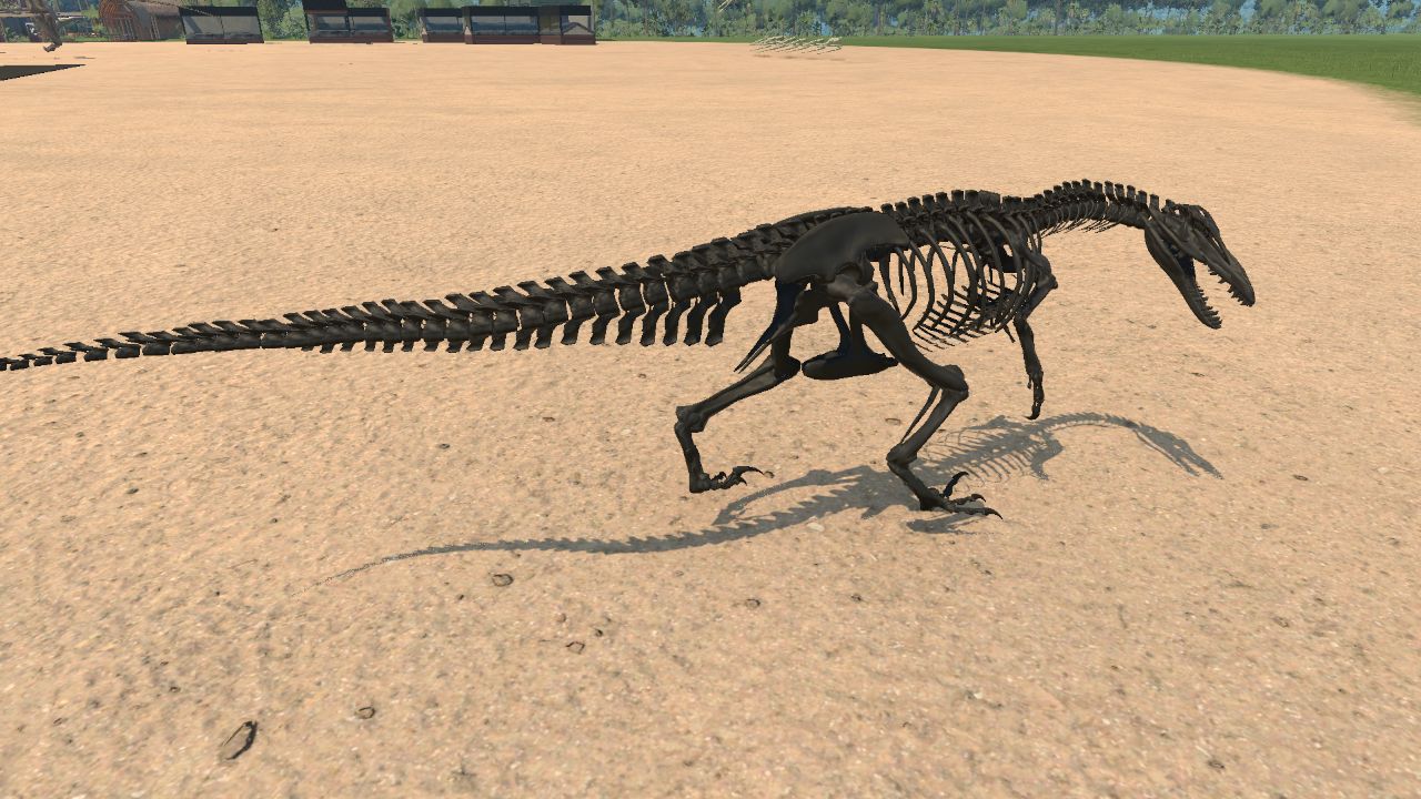 Austroraptor Skeleton
