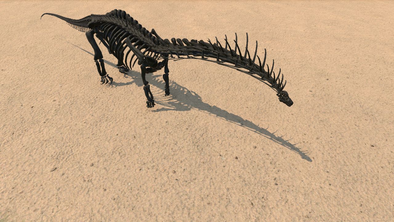 Amargasaurus Skeleton