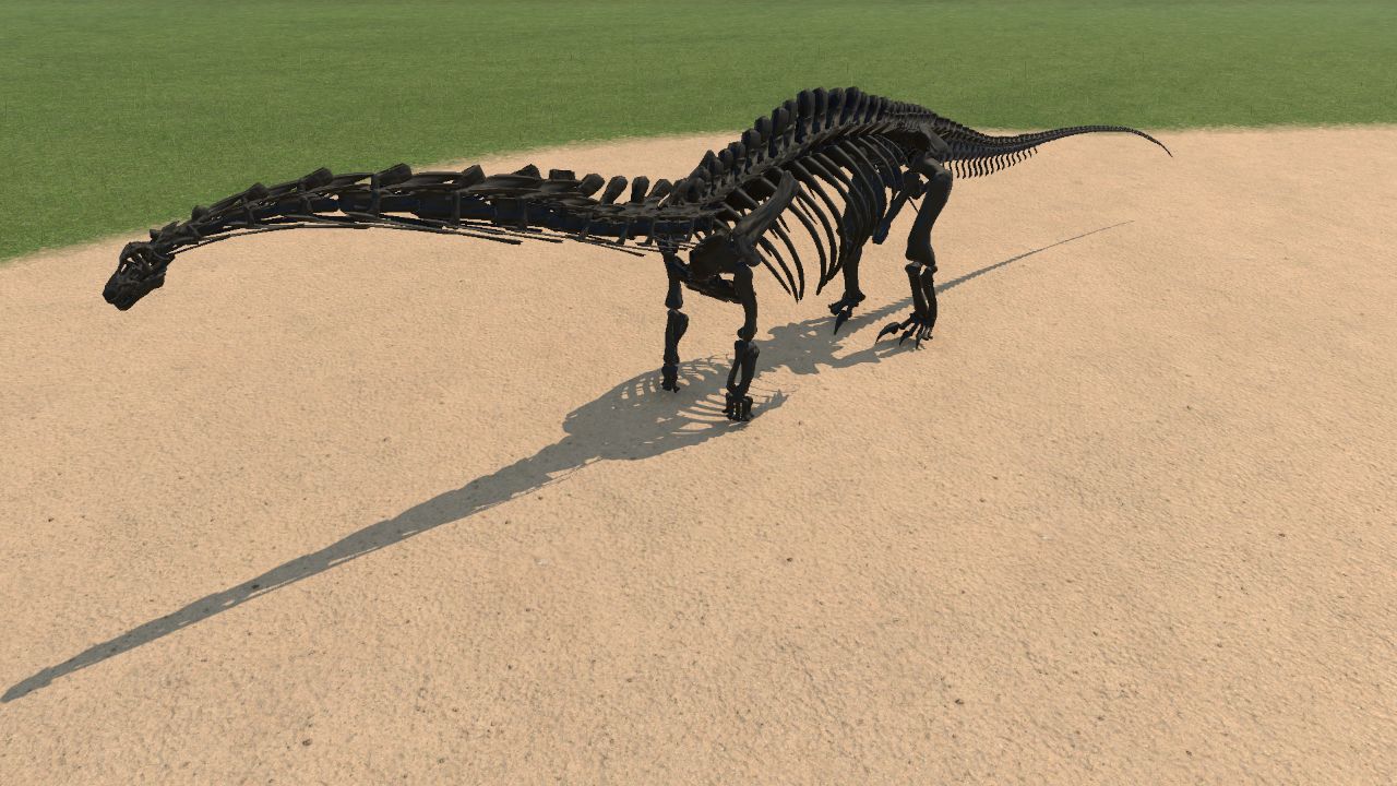 Apatasaurus Skeleton