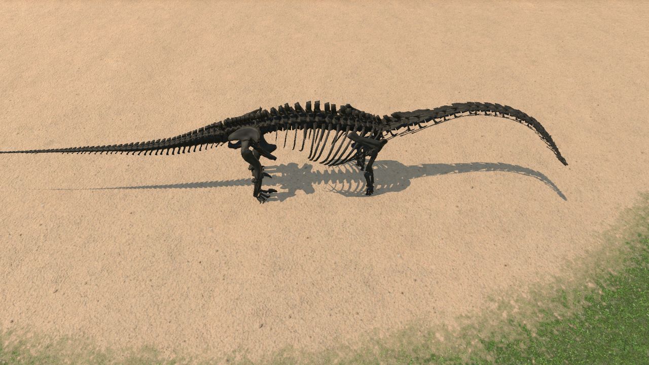 Diplodocus Skeleton