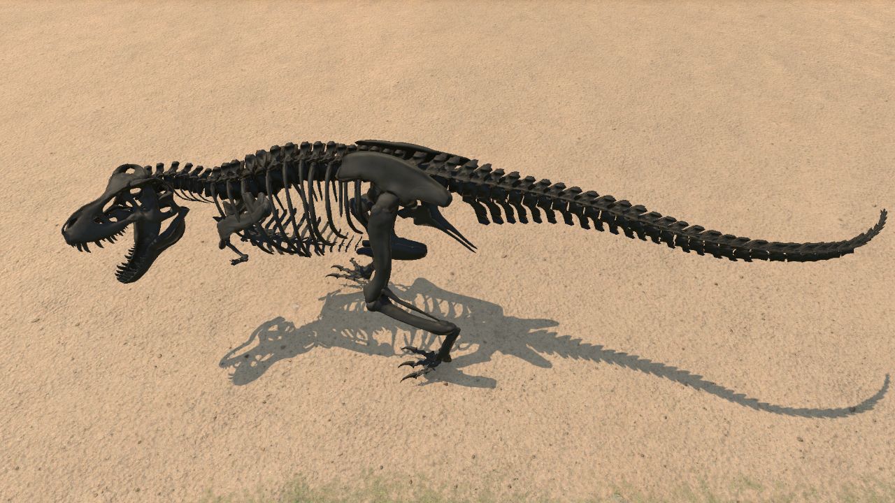 Tyrannosaurus Rex Skeleton (Large)