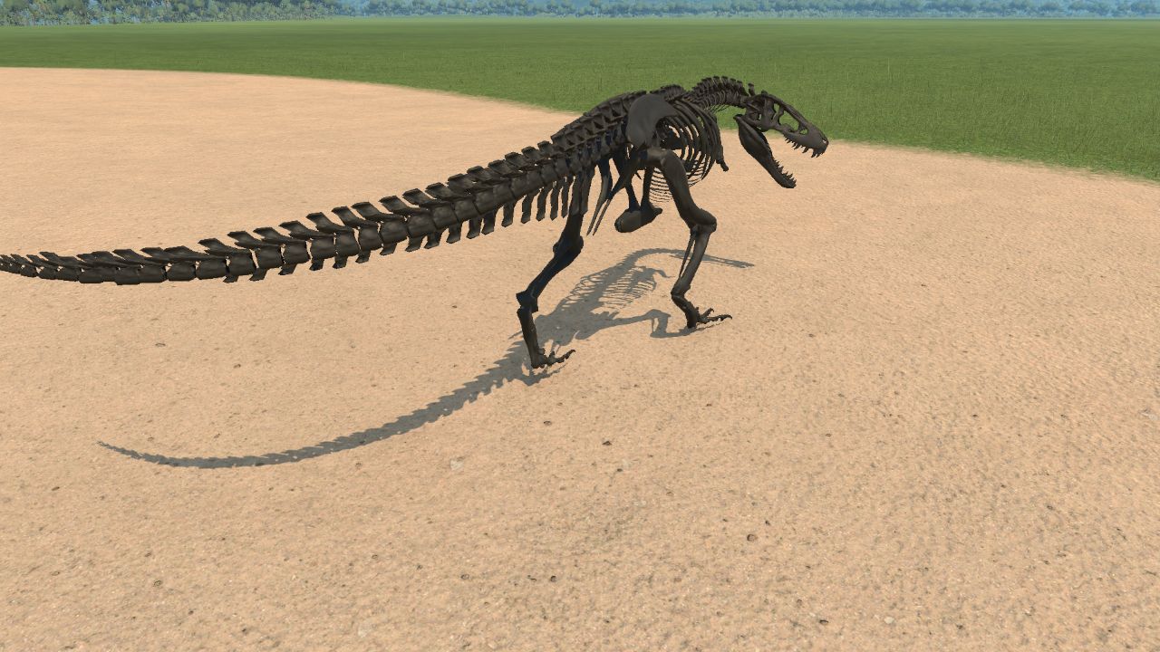 Juvenile Tyrannosaurus Skeleton