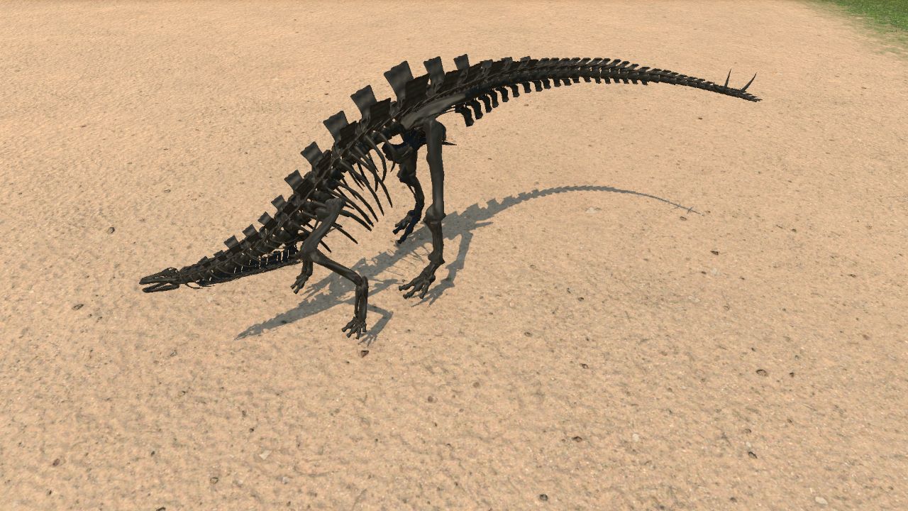 Wuerhosaurus Skeleton