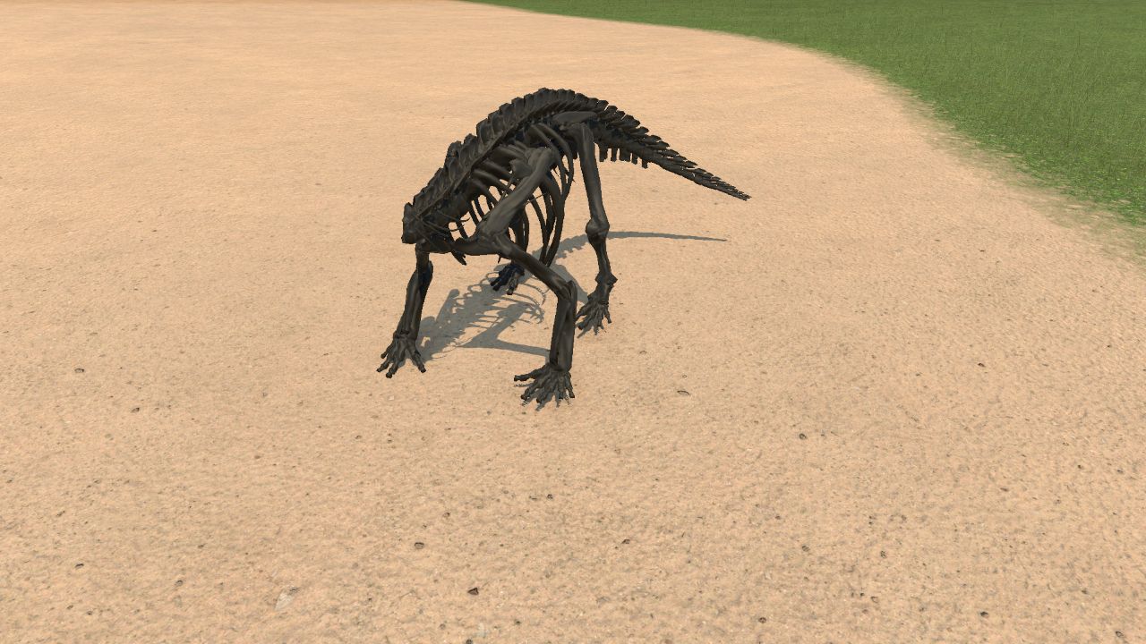 Ceratopsid Skeleton minus skull