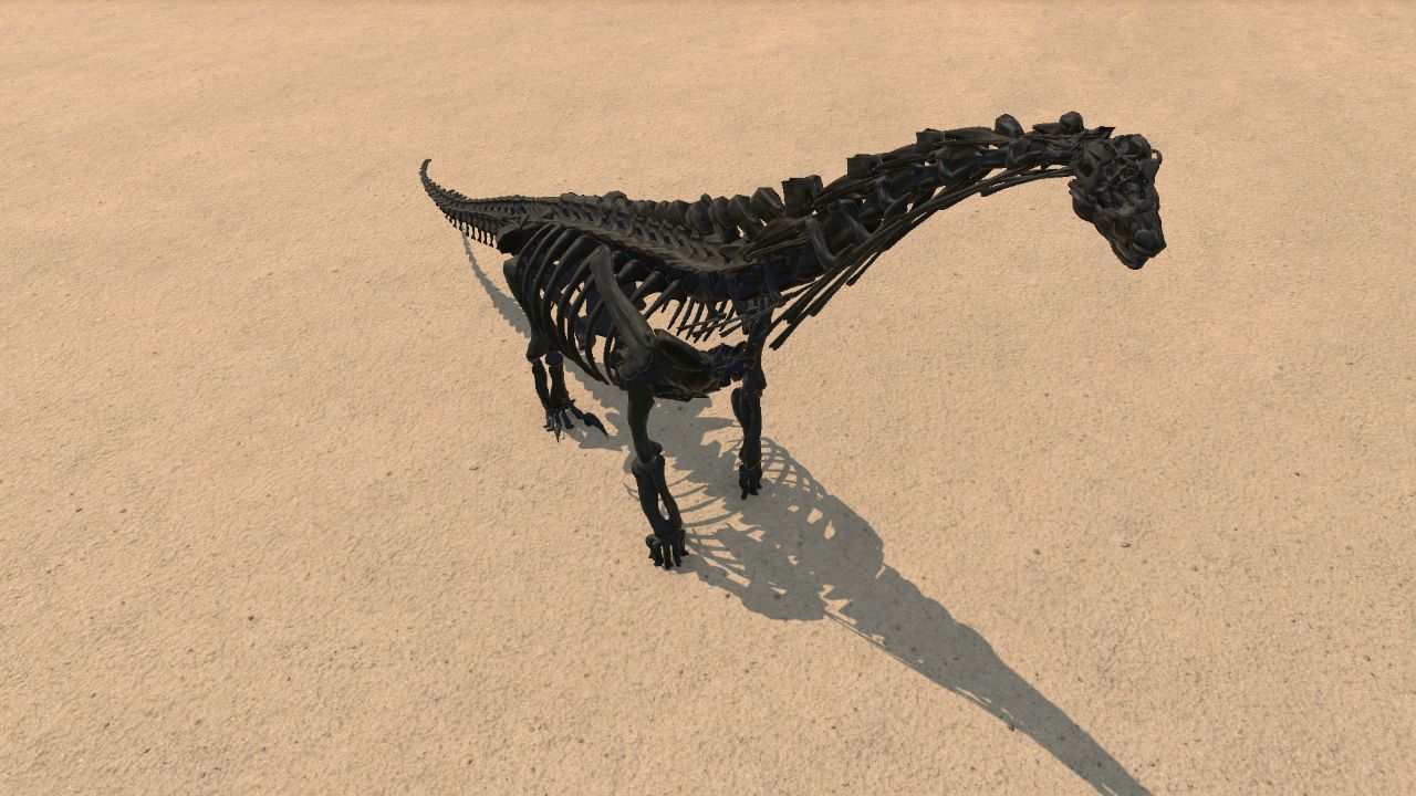 Camarasaurus Skeleton