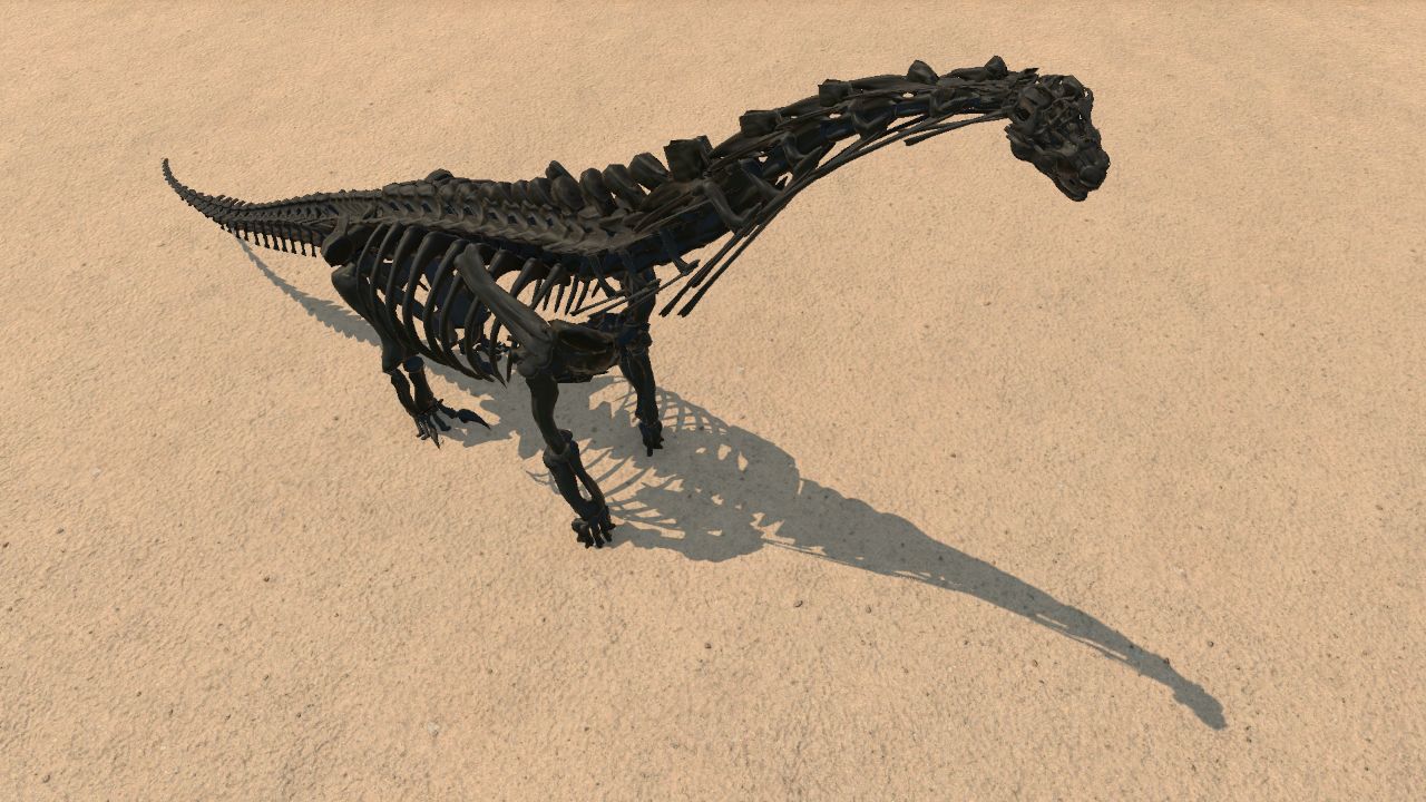 Camarasaurus Skeleton