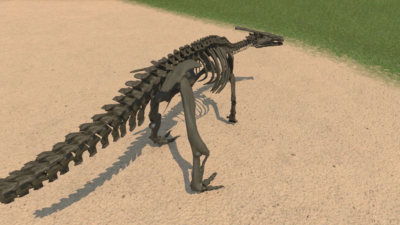 Parasaurolophus Skeleton