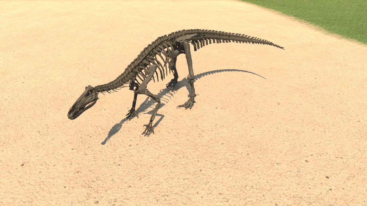 Iguanodon Skeleton