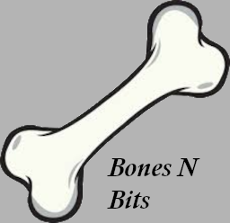 Bones N Bits