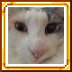 Peach – tModLoader Mod