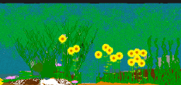 Eco system