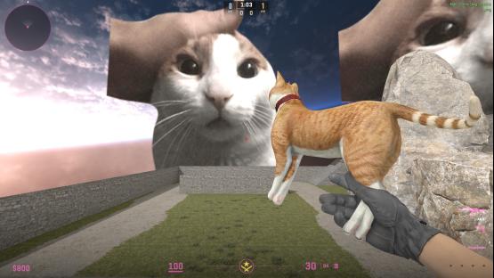 1V1 Cats [CUSTOM GUN MODEL]