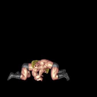 Shoulder Armbreaker