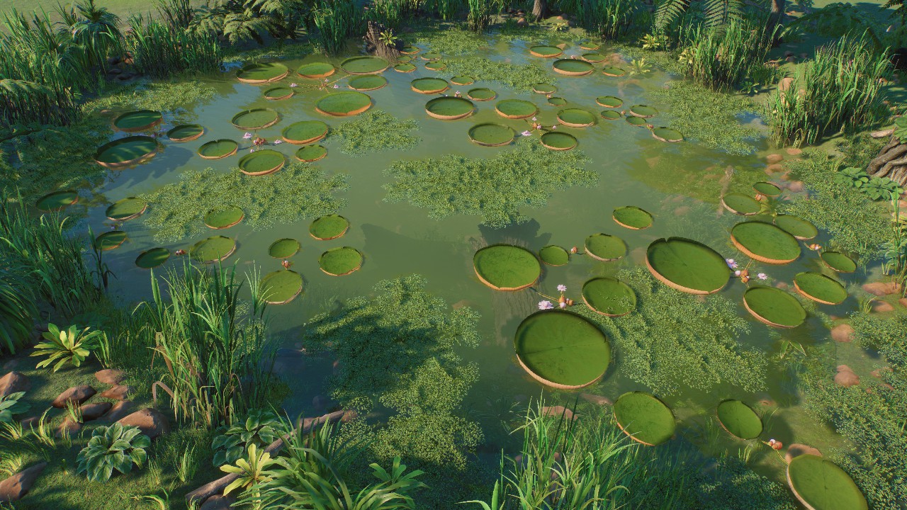 Jungle Pond