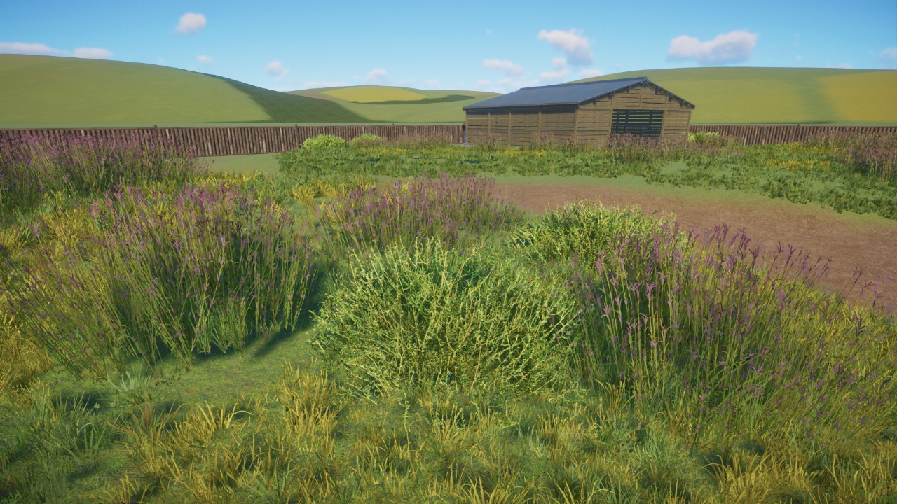 Starter American Bison Habitat (new design 2024)