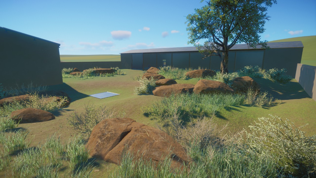 Starter Cheetah Habitat (new design 2024)