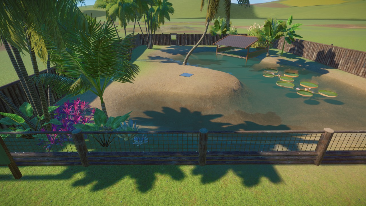 Starter Cuviers Dwarf Caiman Habitat (new design 2024)