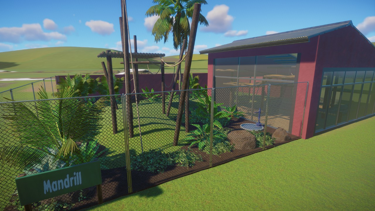Starter Mandrill Habitat (new design 2024)