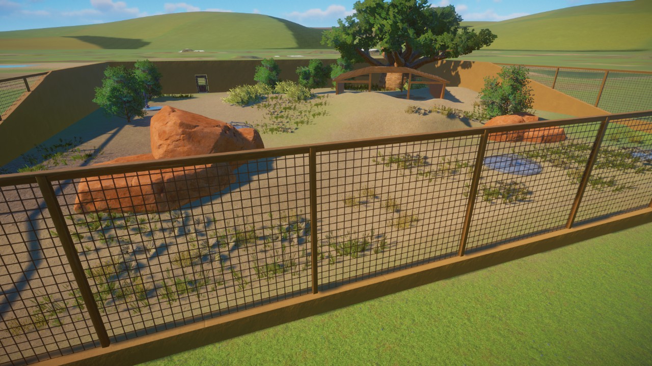 Starter Red Kangaroo Habitat (new design 2024)