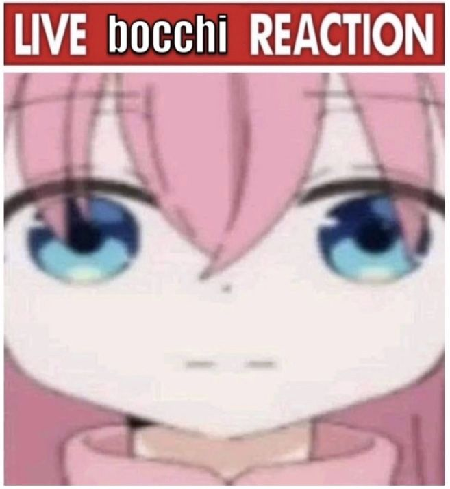 bocchi the cookie