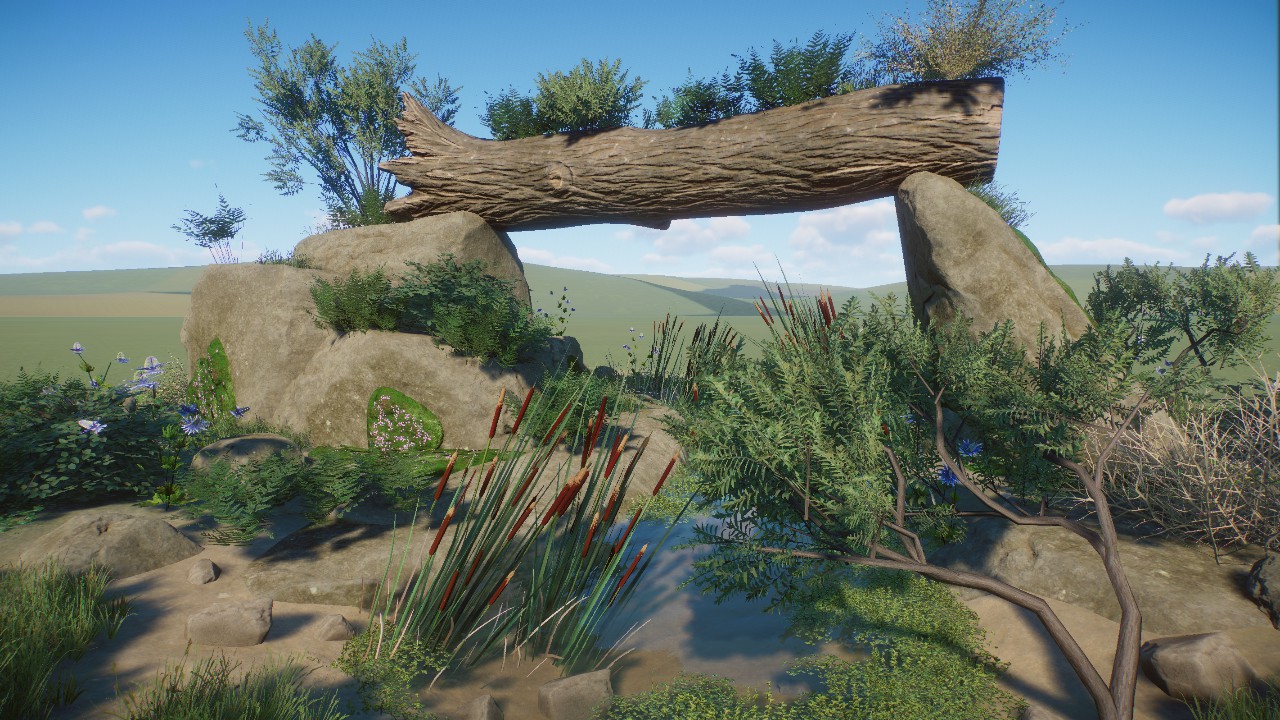 Nature Scenery 13
