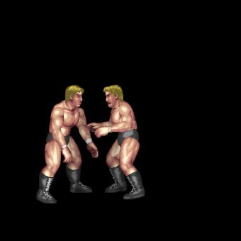 DDT (Back Grapple)