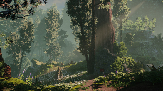 Redwood Forest - stamp