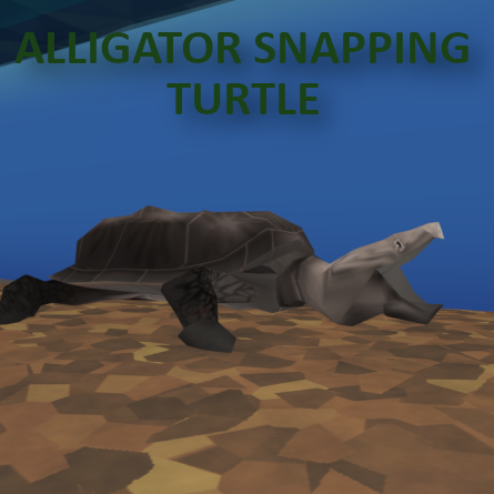 Alligator Snapping Turtle