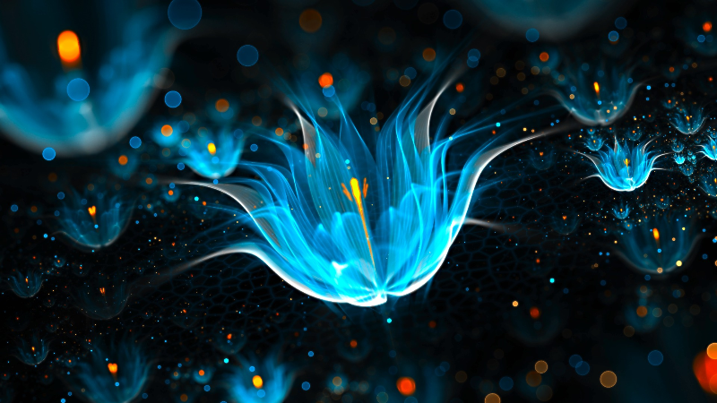 Blue flower