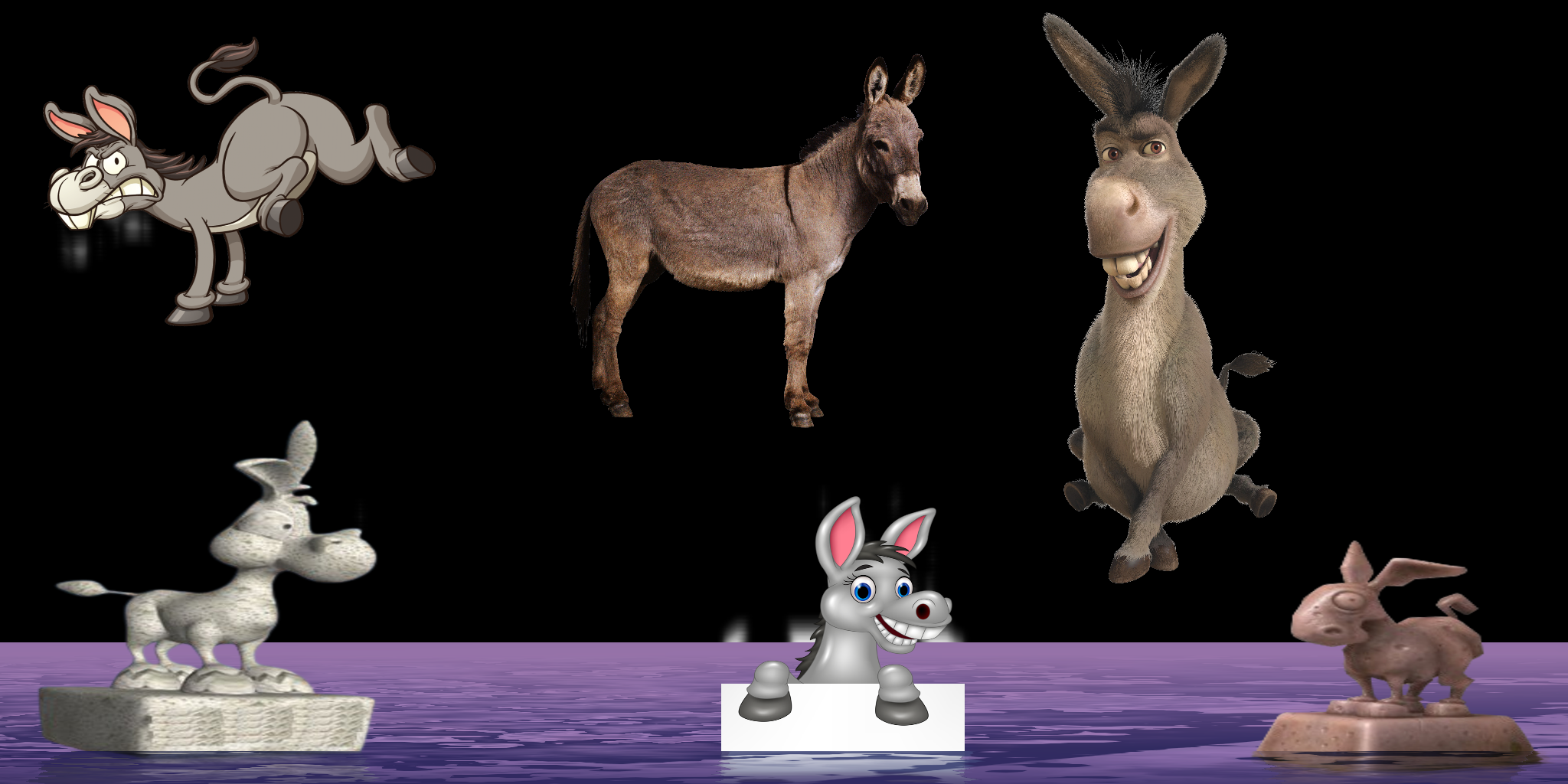 ALL_about_Donkey