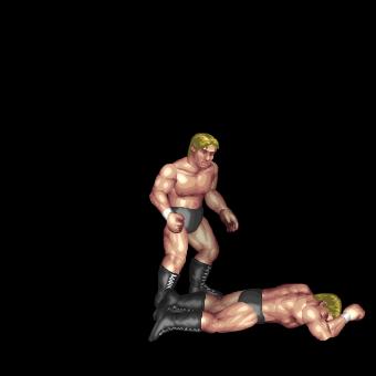 Michinoku driver II