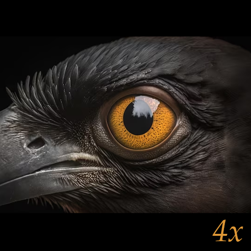 Enchanted Crow Sees 4x