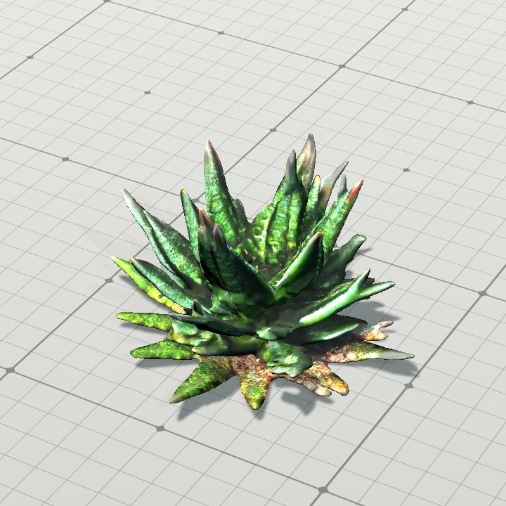 Aloe