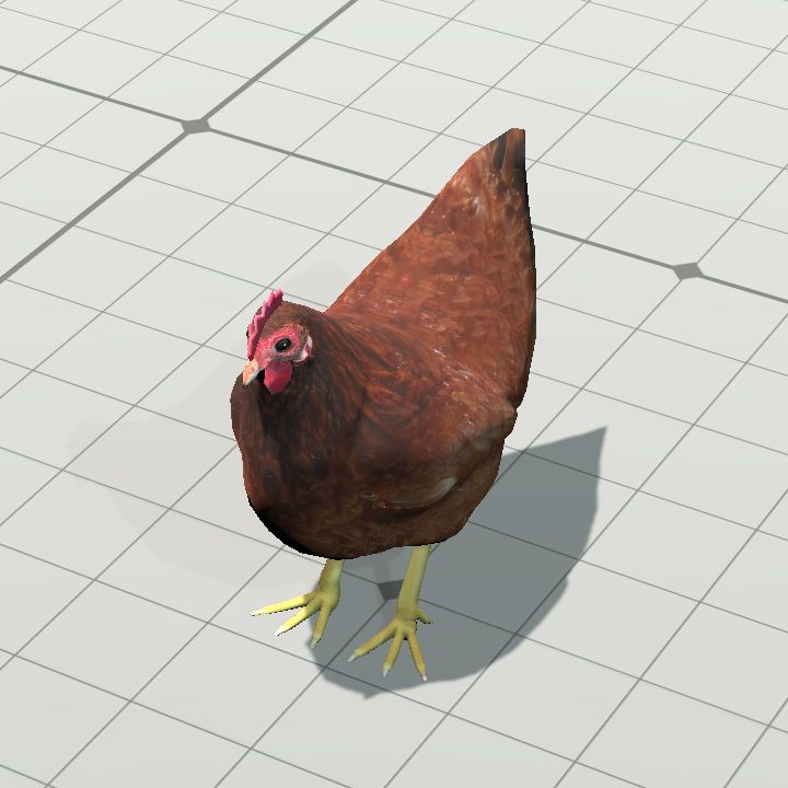 Chicken