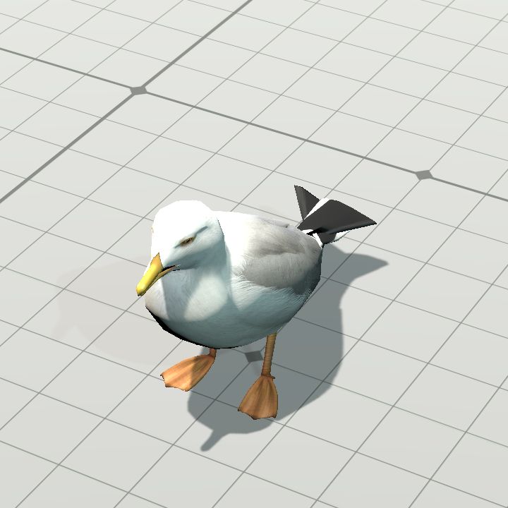 Seagull Standing
