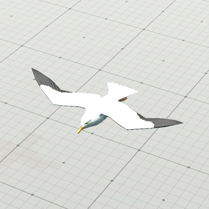 Seagull Flying
