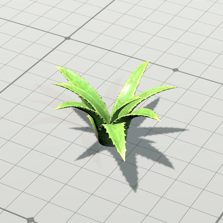 Aloe Vera
