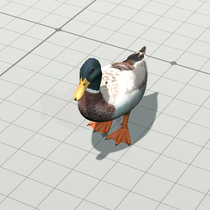 Duck Animation