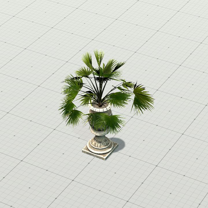 Vase with Palm