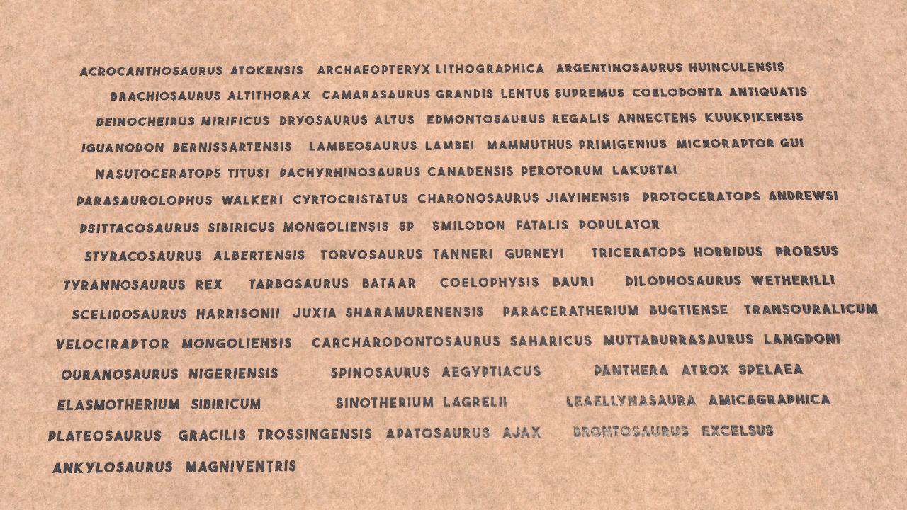 All Animal Names