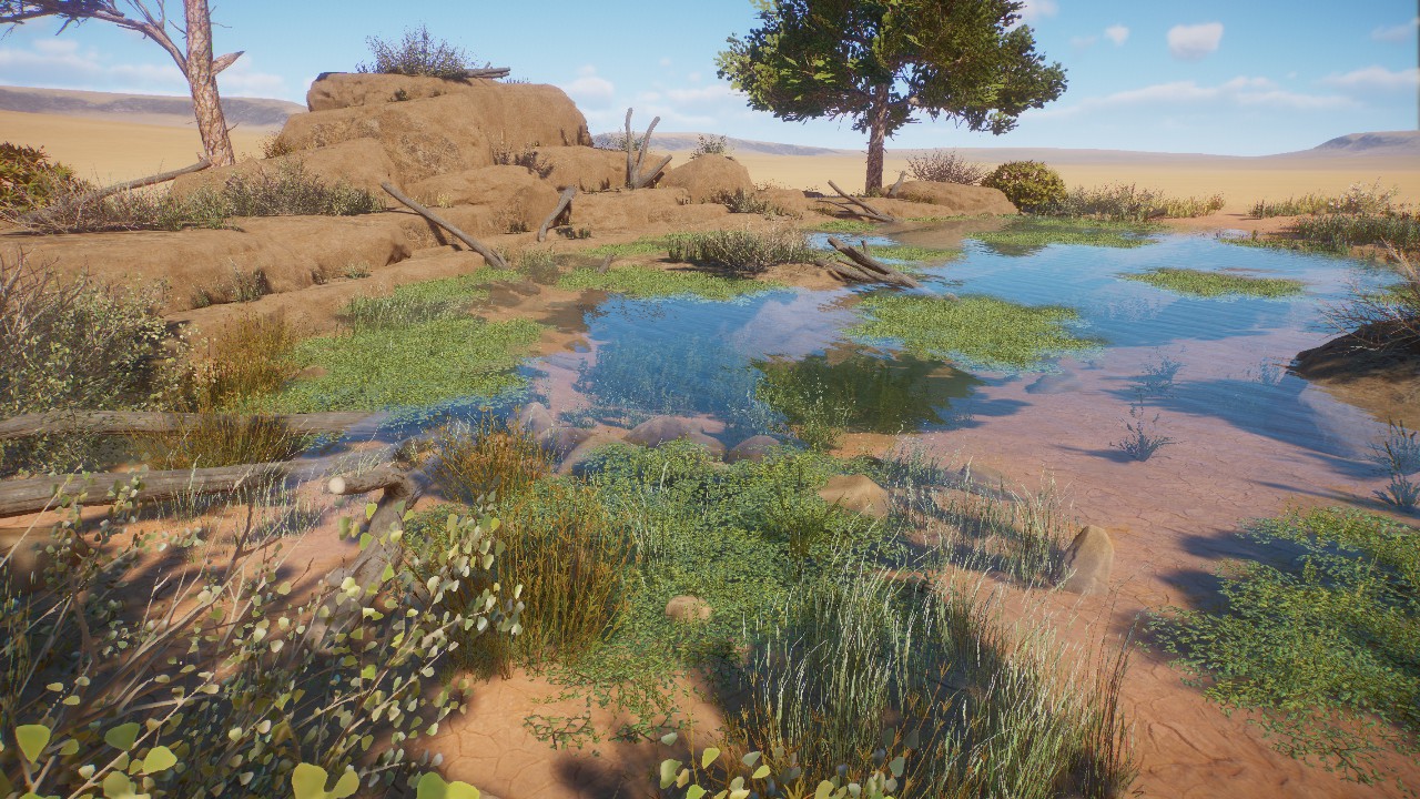 Natural Pond 5