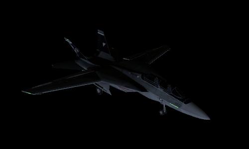 VAQ-142 'Grey Wolves' CAG 2017